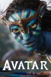 p_avatar_de27b20f